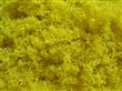 中孔海绵树粉：14＃黄色